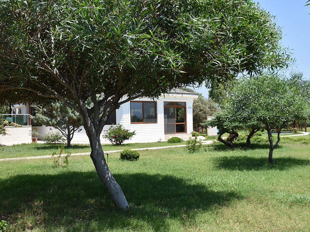 z Gda  Eitim Tesisleri - 7