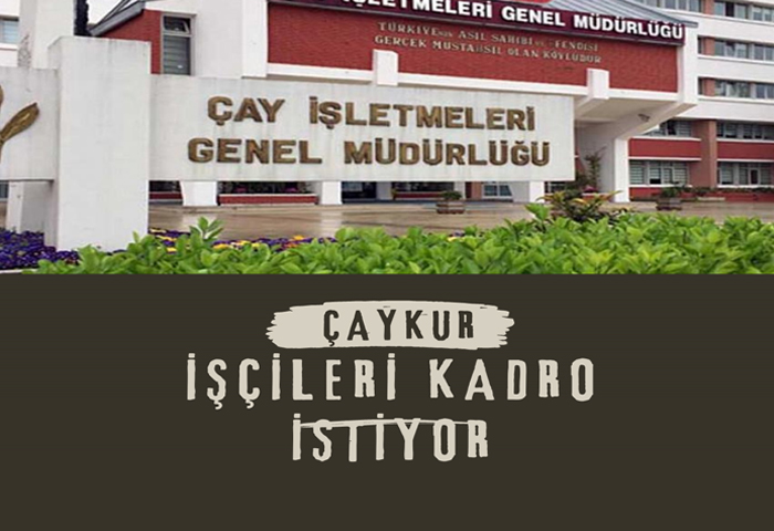 Deerli aykur alanlar