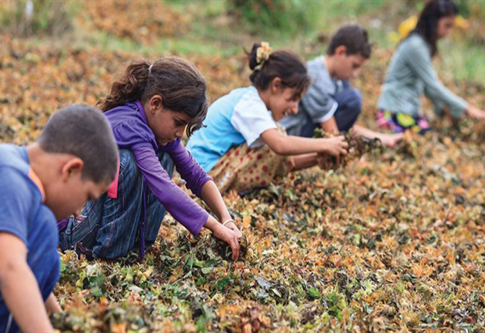 2023'e kadar ocuk ii kalmayacak