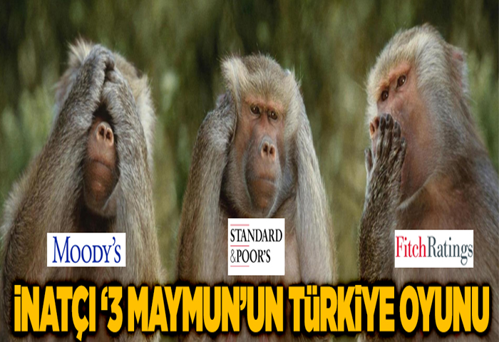 nat 3 maymunun Trkiye oyunu