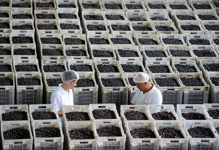 Marmarabirlik ihracat rakamlarını lojistik merkezi kurarak yükseltecek