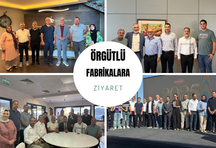 yerlerinde Dayanma ve Emek Bulumas