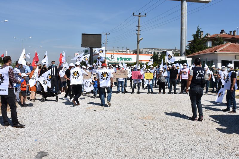 flas kabul edilen Yrsan'la ilgili taleplerimizi duyurduk