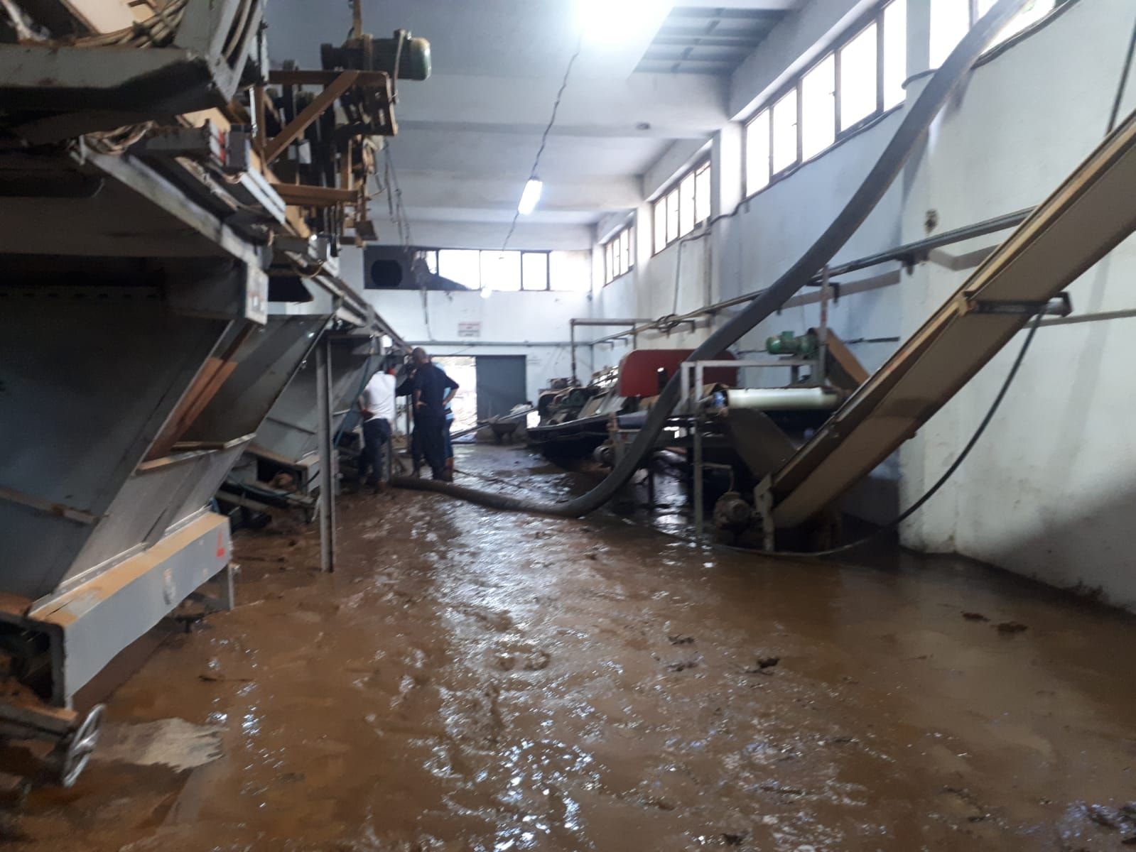 Karadağ, selden dolayı devre dışı kalan Ambarlık ve Büyükköy çay fabrikalarında incelemelerde bulundu