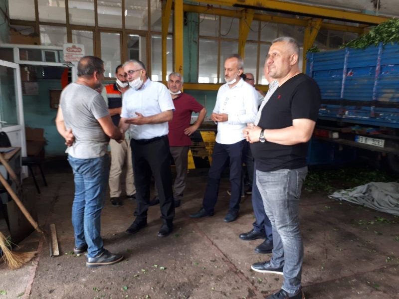 Dou Karadeniz Rize ube Bakanlmz selden etkilenen ay fabrikalarnda incelemelerde bulundu