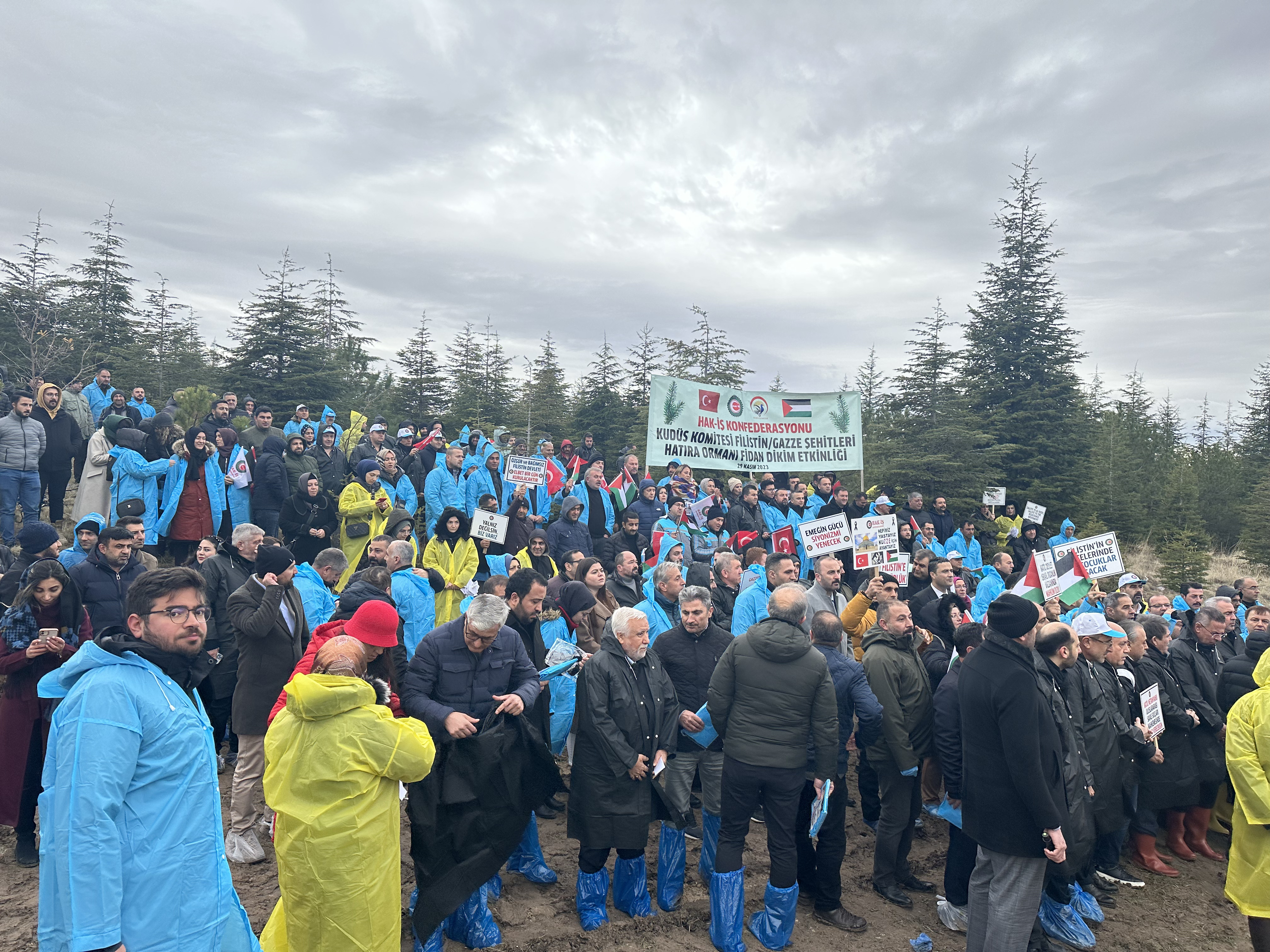 Hanerolu, Filistinli ehitler Ansna Hatra Ormanna Fidan Dikim Etkinliine Katld