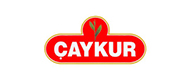 aykur